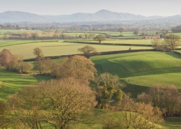 Shropshire countryside